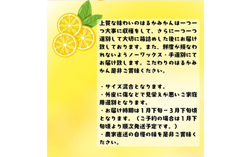 【先行予約】【人気柑橘】 有田育ちの はるか みかん（訳あり 家庭用）3kg+200g(痛み補償分) ※2027年1月下旬～3月下旬に順次発送予定 ※着日指定不可【ard141B】
