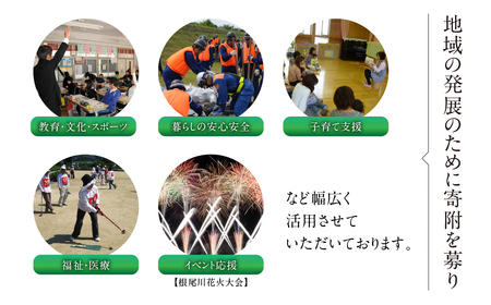 《返礼品なし》 ～ 岐阜県本巣市への寄附 応援寄附金 淡墨桜  (返礼品はありません) [0960]  mt312