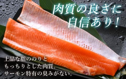 【定期便3回コース】ふくいサーモン（刺身用）真空冷凍　350g（175g × 2パック） × 3回 合計1.05kg