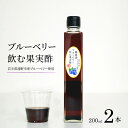 【ふるさと納税】果実酢 ブルーベリー 飲む果実酢 無濾過 200ml 2本 道の奥ファーム 農薬不使用 岩手県産 国産 無農薬 無添加 ブルーベリー酢 果汁100％ 高濃度 ギフト お取り寄せ プレゼント 酢 フルーツ酢 菌活 静置発酵 健康 腸内環境 視力 抗酸化作用 オリゴ糖 送料無料