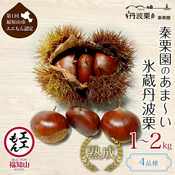 【ふるさと納税】＜先行予約受付中！2026年10月中旬以降順次発送予定！＞＜選べる品種・サイズ・内容量＞秦栗園のあま～い氷蔵丹波栗(銀寄・筑波・早生玉造・岸根/L～3L/1～2kg) 栗 くり 丹波栗 和栗 モンブラン 栗ご飯 スイーツ 甘露煮 京都 【fc-AC002】【秦栗園】