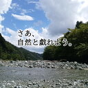 【ふるさと納税】全天候型ファシリティーで贅沢キャンプ「やどろぎ荘」貸し切りプラン