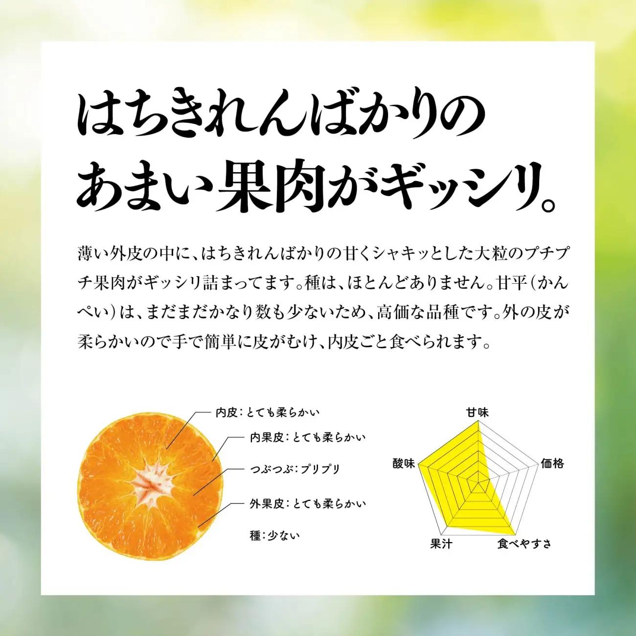 【先行受付】天空の果樹園から届く そら甘平 (3kg) 【訳あり】【95-14】【1757721】YWTAQ018