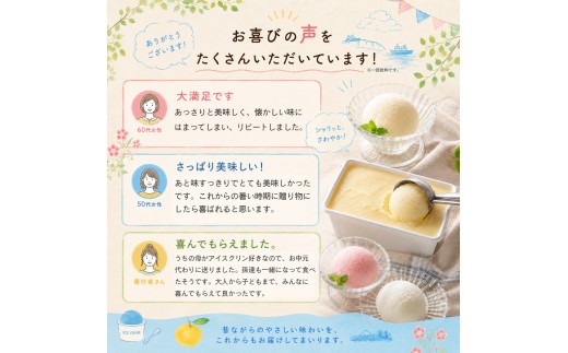 ＜【選べる容量】 アイスクリン（ソーダ）1L×1個＞  大容量  業務用アイス  横畠冷菓 あと味さっぱり シャーベット 高知県 佐川町