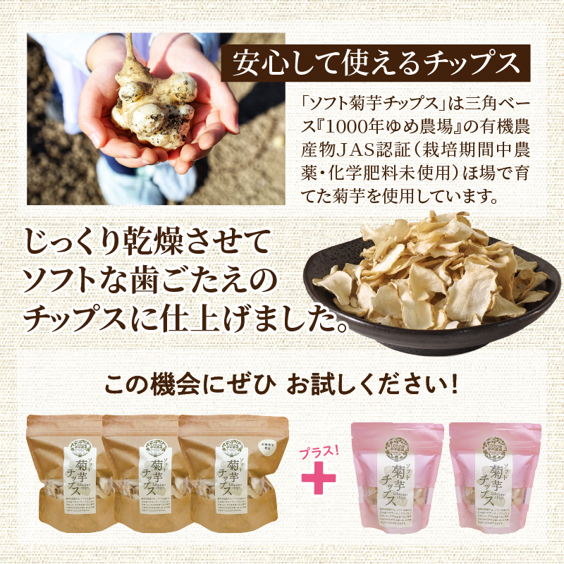 【今だけ増量】そのままでもよし、料理にもよし！ソフト菊芋チップス300g+40g_1935R