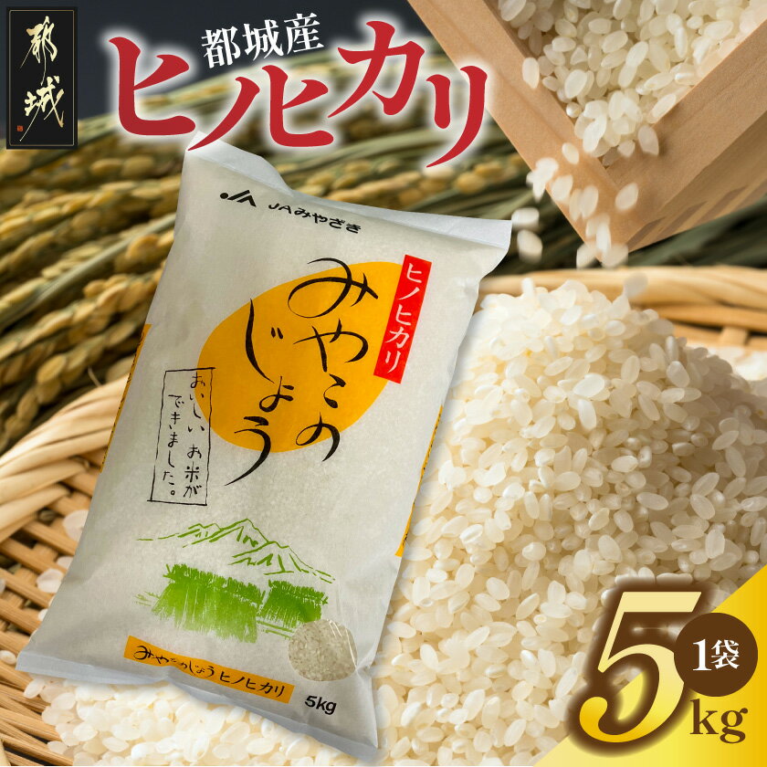 【ふるさと納税】都城産ヒノヒカリ5kg×1袋 - 令和7年産 都城産 ひのひかり 5kg 1袋 お米 精米 ごはん 送料無料 17-01-002-5kg 【宮崎県都城市は2年連続ふるさと納税日本一！】