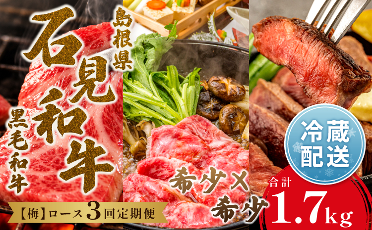 【定期便3ヶ月】石見和牛でちょっと贅沢！ロース定期便・梅（合計約1.7kg）【定期便 3回 和牛 ロース 焼肉用 1〜2人前程度 すき焼き用 2〜3人前程度 550g スライス ステーキ 4人前程度 約170g×4枚 合計約1.7kg 定期 牛肉 石見和牛 すき焼き 焼き肉 黒毛和牛 ブランド牛 限定生産 希少 贈答 ギフト 自宅用 贅沢 冷蔵 チルド】