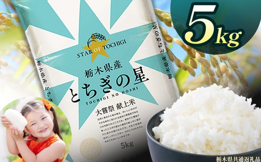 栃木県産とちぎの星 5kg | 2025年 2025年米 令和7年米 秋 白米 ごはん ご飯 小分け 人気 おいしい 旨い おにぎり おむすび お弁当 限定 栃木県共通返礼品 栃木県 下野市 送料無料