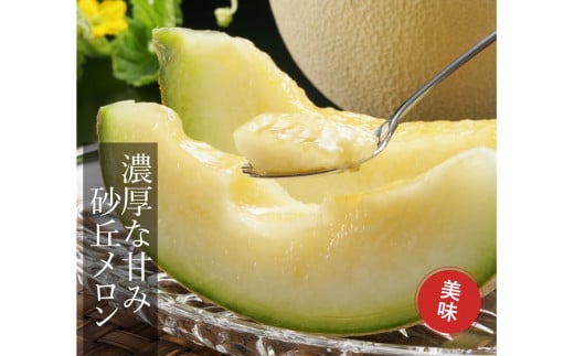 糖度15度以上！京丹後砂丘メロン2玉入り　（2Ｌサイズ以上）／北畿水産(2026年6月下旬～発送) 国産 2玉 フルーツ 果物 メロン 砂丘メロン 甘い 糖度 京都 ふるさと納税 フルーツ ふるーつ 