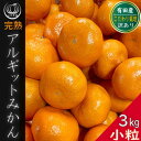 【ふるさと納税】完熟 小粒 アルギット みかん 3kg 2S ～ 3S サイズ | 年内発送 先行予約 ちっちゃい 小玉 みかん 有田みかん 甘い おいしい ジューシー 皮 薄い 期間限定 高級 こだわり ギフト 旬 スイーツ 和歌山 | フルーツ 果物 くだもの 食品 人気 おすすめ 送料無料