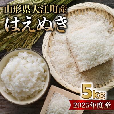 ふるさと納税 大江町 山形県大江町産 はえぬき5kg【2025年度産米】 004-019