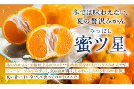 ≪先行予約≫ 超濃厚 ハウスみかん『蜜ツ星』 家庭用 3kg