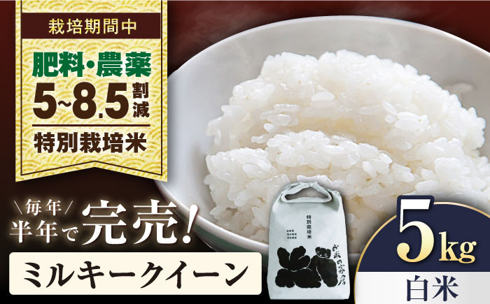 
            【先行予約/令和7年産新米】ミルキークイーン 5kg 白米 特別栽培米  長浜市/株式会社お米の家倉 [AQCP020] 米 お米 白米  5kg  ミルキークイーン 特別栽培米  滋賀県産 長浜市産 こめ 玄米 白米 精米 お米 新米 食品 ふるさと納税 国産 炊きたて 米ギフト もちもち ブランド米  食卓 美味しい 産地直送 節約 人気
          
