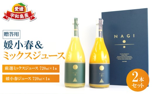 贈答用 みかん ジュース ミックスジュース 媛小春ジュース 720ml ×2本 NAGI FARM ストレート mikan 果汁100% 果汁 ストレートジュース ジュース 蜜柑 みかん 果物 くだもの フルーツ 贈答用 ギフト プレゼント 産地直送 数量限定 国産 愛媛 宇和島 H020-207003
