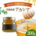 【ふるさと納税】美濃蜂蜜 アカシア 300g 【マンモスハウス合同会社】 はちみつ 非加熱 国産 [TEW003]