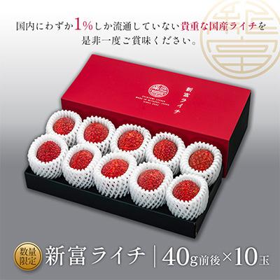 ふるさと納税 新富町 【マツコの知らない世界で紹介】先行受付 希少!国産「新富ライチpremium50」50g以上×8玉 |  | 03