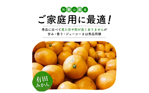 有田育ちのご家庭用完熟 有田みかん 6kg 【12月発送】　【ard186A-2】