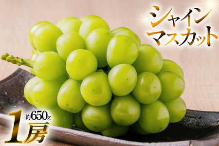 【期間限定発送】 シャインマスカット 1房 約 650g [いわた果樹園 山形県 高畠町 tk06ayt400000]