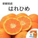 【ふるさと納税】 【先行予約】【2024年12月下旬頃発送】はれひめ 約2.5kg 愛媛県産 柑橘 みかん サイズおまかせ 万田酵素 MARUTAMA果樹園 玉井農園 愛媛県 松山市