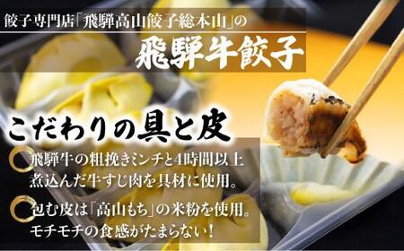 豪華！ 飛騨餃子 ファミリーパック 50個入り ＜ 生冷凍餃子 ・ 簡易包装 ＞ ぎょうざ ギョーザ 冷凍 冷凍餃子 飛騨高山 業務用 大容量 ニラ 飛騨牛 お取り寄せ 酒 つまみ a597
