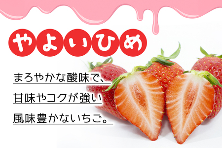 【2026年先行予約】デラックスパック やよいひめ 2p いちご イチゴ 苺 果物 フルーツ くだもの 茨城県 石岡市 A32-022