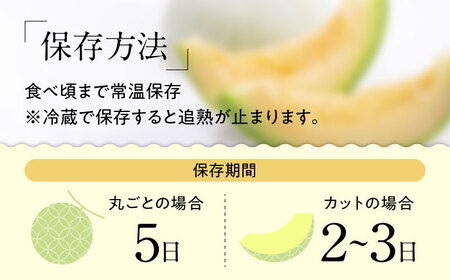 【2024年4月下旬〜発送】 プリンスメロン 約4kg / メロン めろん / 南島原市 / 南島原果物屋 [SCV010]