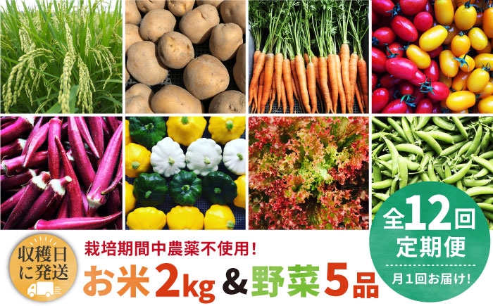 
                  【全12回定期便】【☆畑直送☆栽培期間中農薬不使用！】お 米 2kg & 野菜 5品 の セット 糸島市 / オーガニックナガミツファーム 	[AGE038]
                