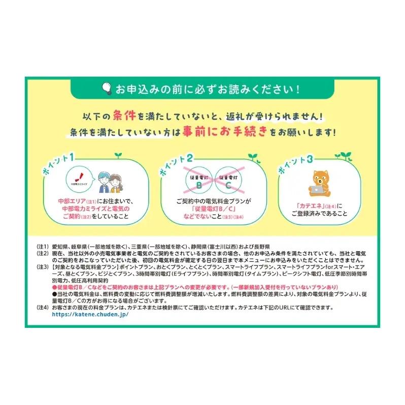 コース 島田市産 CO2フリーでんき 100000円 コース