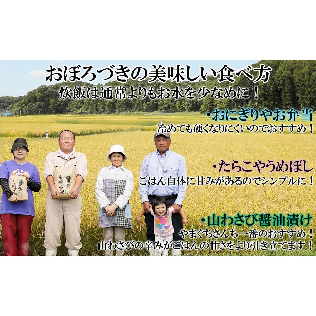 ＜ 定期便 12回 ＞ 北海道産 希少米 おぼろづき 玄米 5kg 毎月 12回_イメージ4