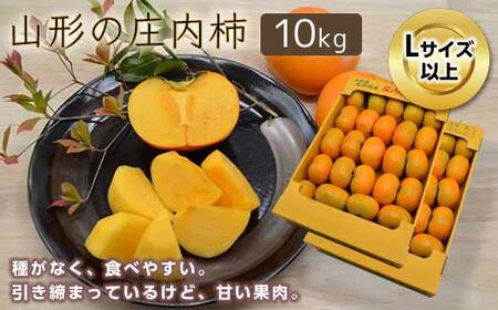 《先行予約 2026年度発送》山形の庄内柿 10kg（54～64玉）L以上 柿 かき デザート フルーツ 果物 くだもの 果実 食品 山形県 FSY-0384
