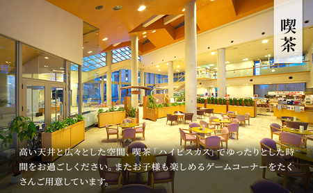 施設利用券 関東 千葉 国民宿舎 サンライズ九十九里 3000円分 宿泊券 お食事券 宿泊 旅行 旅行券 利用券 食事券 宿泊補助券 トラベル クーポン ホテル券 ギフト券 ギフト チケット ホテル 