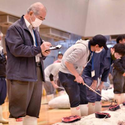 ふるさと納税 三浦市 【三崎港直送!】これを選べば間違いなし!業務用　三崎の天然マグロ2kg |  | 03