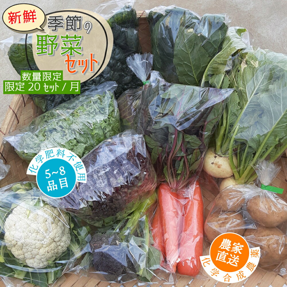 【ふるさと納税】【数量限定】すが農園の季節の野菜セット（5～8品目）｜千葉県神崎町ふるさと納税[023-a001]