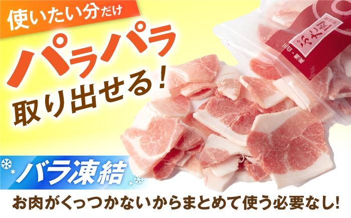 国産 豚肉 豚こま 小間 国産 小分け 豚コマ 豚小間 冷凍 豚こま切れ ぶたこま 薄切り モモ肉 カタ肉 