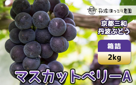 【先行予約】8月下旬発送開始！京都三和・丹波ぶどう＜マスカットベリーA・箱詰＞2kg ぶどう ぶどう ぶどう ぶどう ぶどう