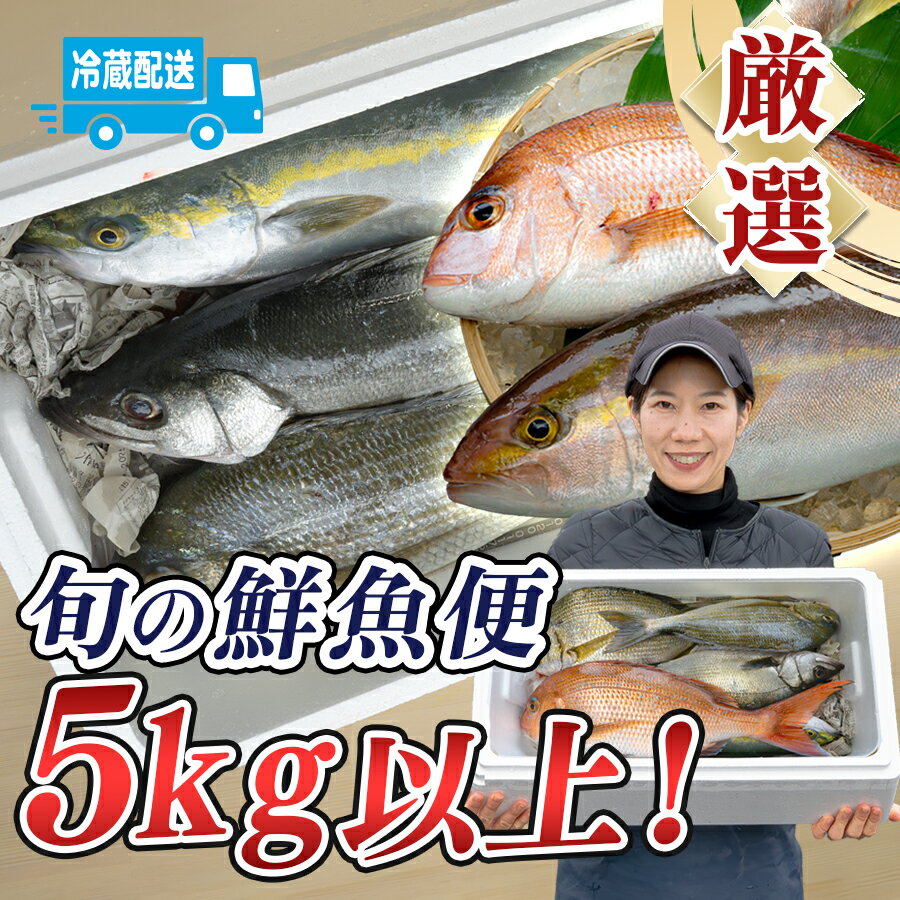 【ふるさと納税】鮮魚 5kg～ 鮮魚ボックス 詰め合わせ 刺身 刺し身 さしみ 海鮮丼 寿司 鮮度抜群 産地直送 海の幸 海鮮 魚介 新鮮 厳選 ギフト お取り寄せ おすすめ 人気 お中元 お歳暮 高知県産