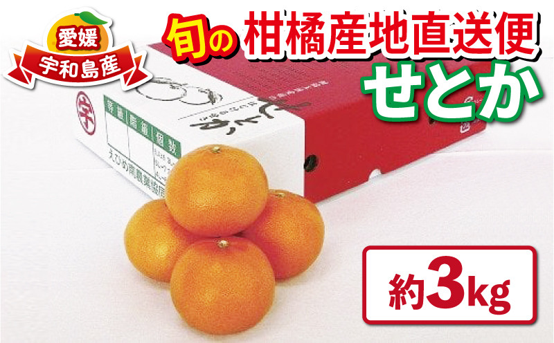 
            せとか 優品 3kg 先行予約 えひめ南農業協同組合直販センター JA 柑橘の大トロ 果物 フルーツ 愛媛ミカン 愛媛蜜柑 愛媛みかん 高級 ブランド 希少 mikan 蜜柑 みかん ミカン 濃厚 甘み 愛媛県産 柑橘 農家直送 産地直送 数量限定 国産 愛媛 宇和島 B020-009006
          