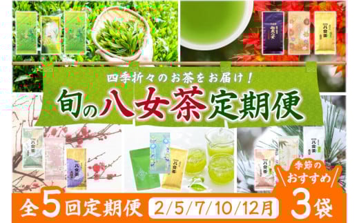 【定期便】八女茶100％ 四季折々の上級茶をお届け ≪３袋ずつ 年間５回 ≫ 定期便 八女茶 お茶 茶 新茶 煎茶 福岡県 高級 緑茶 八女市