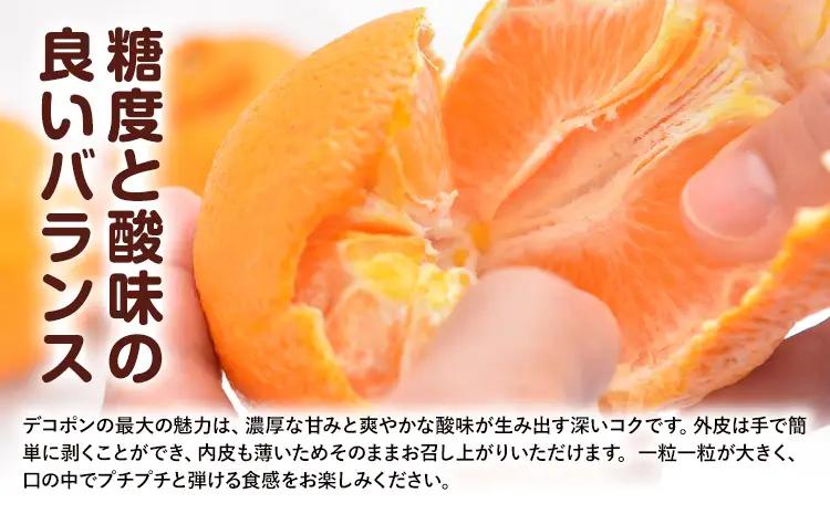 贈答用 デコポン  3kg  日本フルーツ株式会社 熊本県 荒尾市 《12月中旬-4月中旬頃出荷》 デコポン 果物 秀品 フルーツ スイーツ デザート ギフト ご贈答