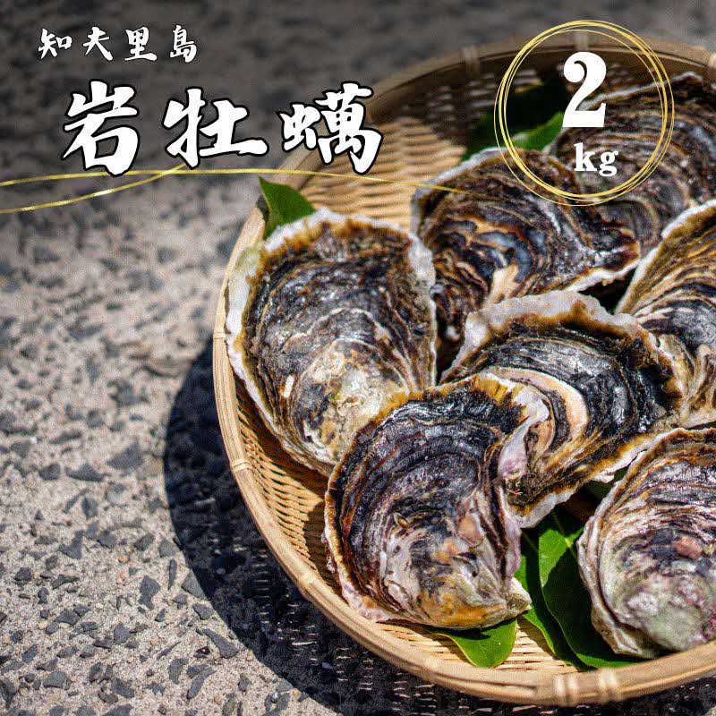 【ふるさと納税】知夫里島産 岩牡蠣 2kgブランド 岩牡蠣 生食可 牡蛎 牡蠣 かき