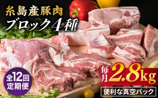 
                  【全12回定期便】【 盛り合わせ 】 糸島産豚肉 ブロック肉4品盛合せセット 約2.8kg 糸島市 / 糸島ミートデリ工房 [ACA280]
                