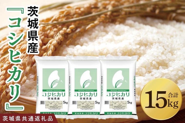 
                  【茨城県共通返礼品】令和7年産 茨城県産 コシヒカリ15kg（5kg×3袋）【お米 米 こしひかり ごはん 茨城県】（03-50-1）
                