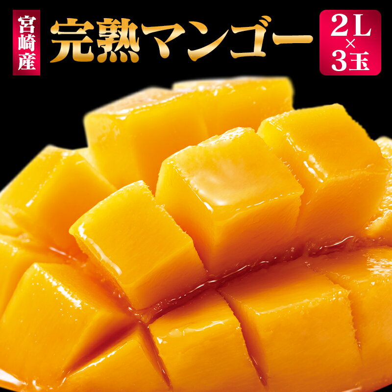 【ふるさと納税】＜先行予約＞ 完熟マンゴー 2Lサイズ 3玉 南国宮崎からお届け!! フルーツ 果物 人気 贈答品