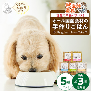 【定期便：隔月3回お届け！】ペットフード　無添加ドッグフード・ブルズごはんCUBEタイプ　300g×5袋（馬・豚・鹿・鶏・魚）_定期便 無添加 ドッグ フード 300g×5袋 隔月 計3回 馬肉 チーズ 豚肉 鹿肉 魚 野菜 鶏 ダシ 雑炊風 5種類 CUBEタイプ 国産 食材 手作り ごはん 混ぜるだけ 色んな味 ローテーション 成犬 シニア犬 愛犬 ペット 冷凍 お取り寄せ 福岡県 久留米市 送料無料 〔Tk040〕