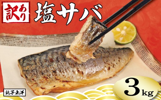 訳あり 塩さば フィーレ 約3kg 鯖 さば 塩鯖 トロ フィレ 切り身 切身 青魚 魚介類 魚 魚貝 魚介 魚貝類 水産 海の幸 海鮮 人気 冷凍 大容量 たっぷり 冷凍 おつまみ さけ おかず 惣菜 弁当 不揃い 規格外 訳有 傷 グルメ お取り寄せ 贈答 贈物 プレゼント 贈り物 バラ凍結 長期保存 ストック ギフト 小分け ふるさと納税 ふるさと納税鯖 送料無料 千葉県 銚子市 銚子東洋