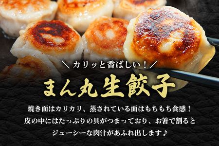 まん丸生餃子冷凍30g×60個入り（1pac 6個入り）餃子 生餃子 国産豚肉 焼餃子 ぎょうざ ギョウザ ギョーザ 冷凍餃子 冷凍生餃子 小分け お取り寄せ 惣菜 中華惣菜 点心 中華 惣菜 中華料