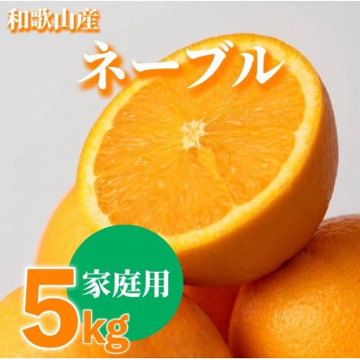 【2027年1月上旬より順次発送】和歌山県産　ネーブル　5kg家庭用(サイズ混合)【まごころ手選別】【1746336】