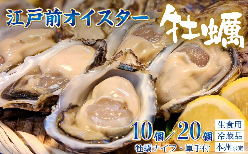 
                  殻付生牡蠣「江戸前オイスター」（2年牡蠣） 10個 20個 牡蠣ナイフ・軍手付　牡蠣 かき 江戸前オイスター オイスター 国産 濃厚 上品 ジューシー シングルシード 生 冷蔵 焼 蒸 殻 江戸前 東京湾 千葉県 新富津漁業協同組合 ナイフ 軍手 1kg前後 2kg前後 
                