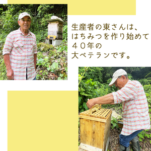 天然百花蜂蜜 300g ハチミツ はちみつ honey ニホンミツバチ 天然の花