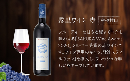 おすすめ 赤ワイン 2本セット 霧里ワイン TOMOE マスカットベーリーA 国産 やや甘口 ワイン 受賞 飲み比べ ワインセット ギフト 三次市 / 広島三次ワイナリー[APAZ009]